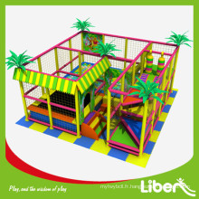 Hot Sales of Plastic Indoor Playground pour enfants Fête d&#39;anniversaire LE.T5.308.142.00